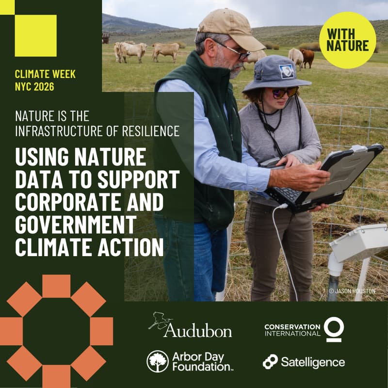 Cover Image for Nature Is the Infrastructure of Resilience: Using Nature Data to Support Corporate and Government Climate Action