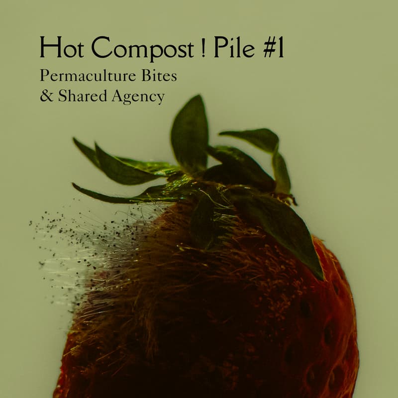 Cover Image for HOT COMPOST! - PILE #1 Permaculture Bites and Shared Agency