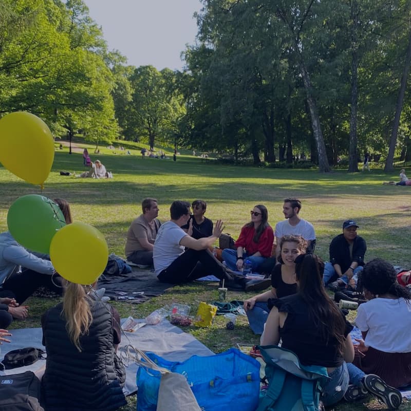 Cover Image for International Picnic in the Park