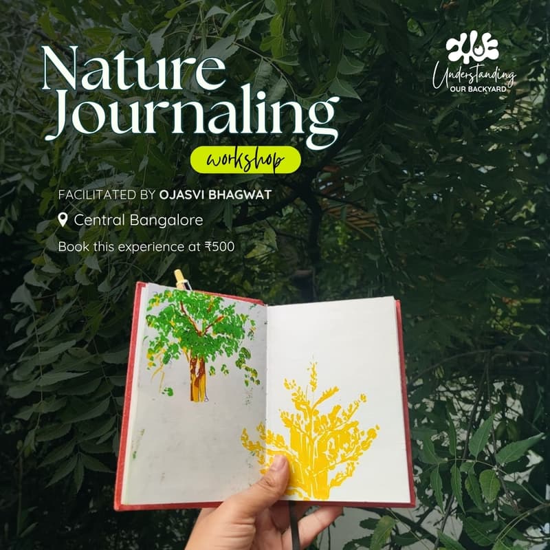 Cover Image for Nature Journaling Walk