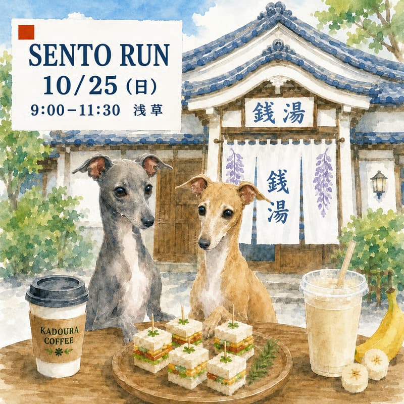 Cover Image for Sento Run