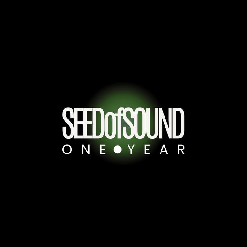 Cover Image for SEEDofSOUND: One Year