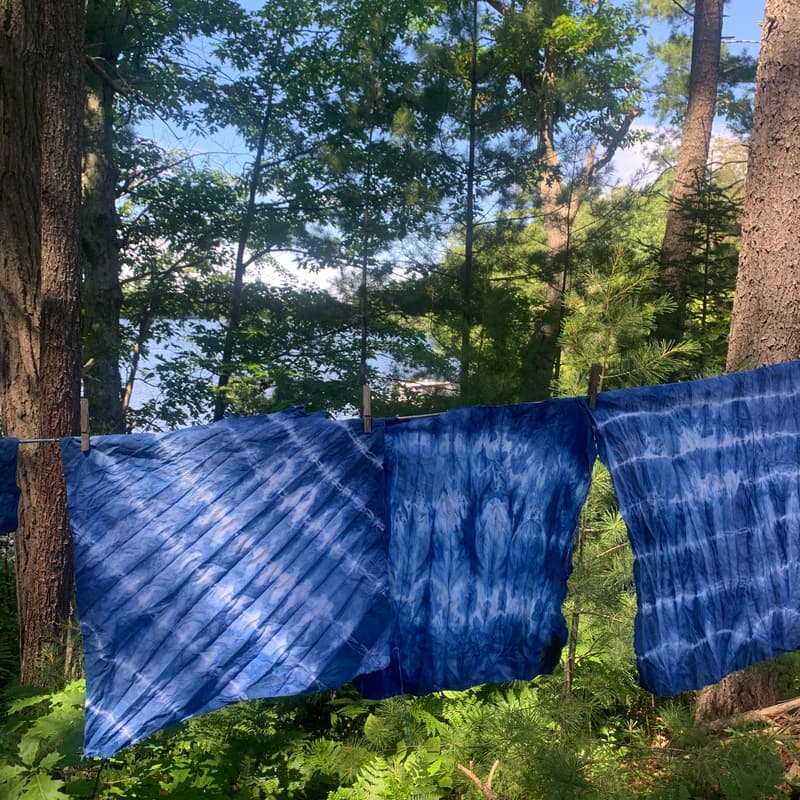 Cover Image for PWYC Indigo & Walnut Dye Party