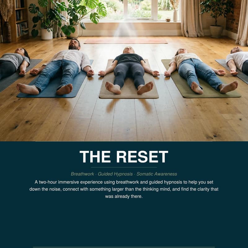 Cover Image for The Reset - private edition