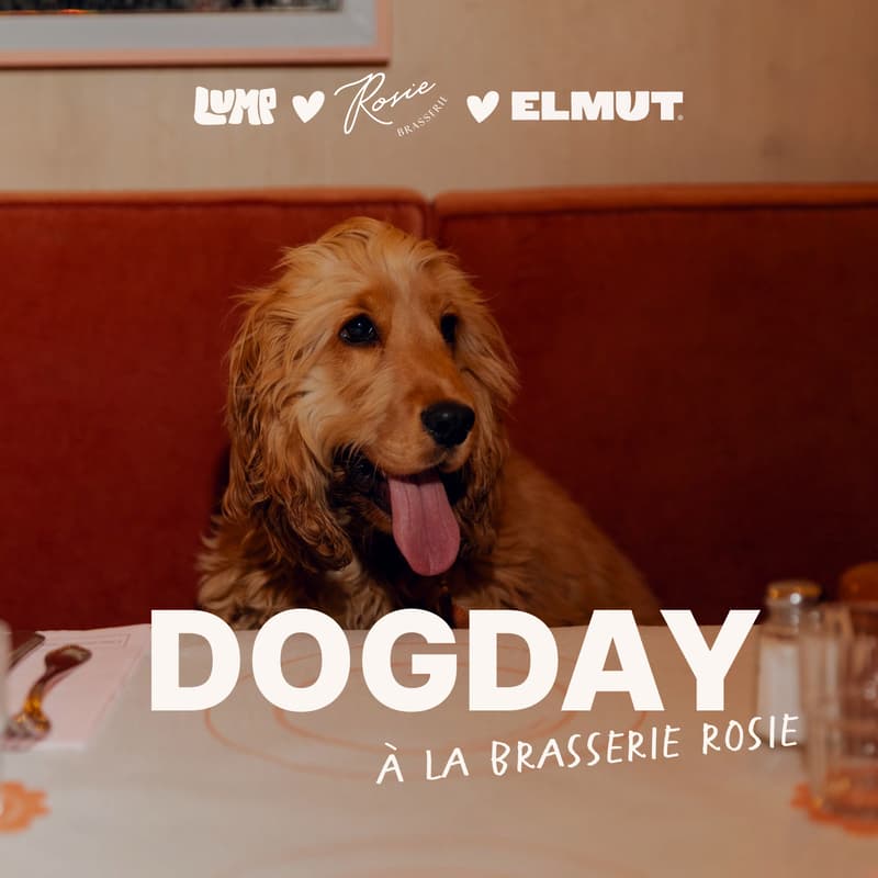 Cover Image for Dog day