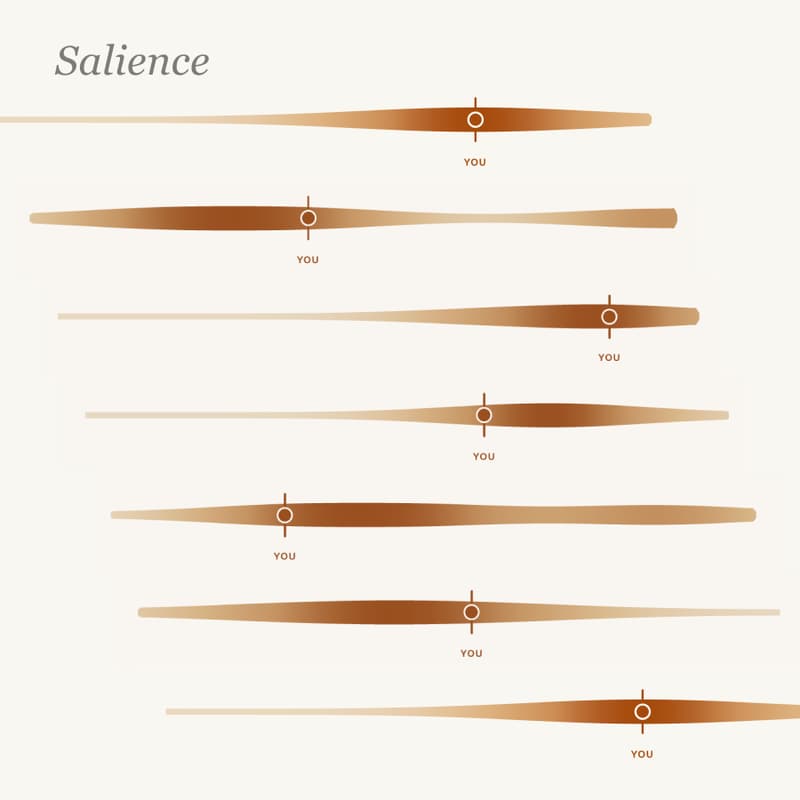 Cover Image for Community Call: Play-testing Salience: an AI facilitation tool for "productive dissensus"