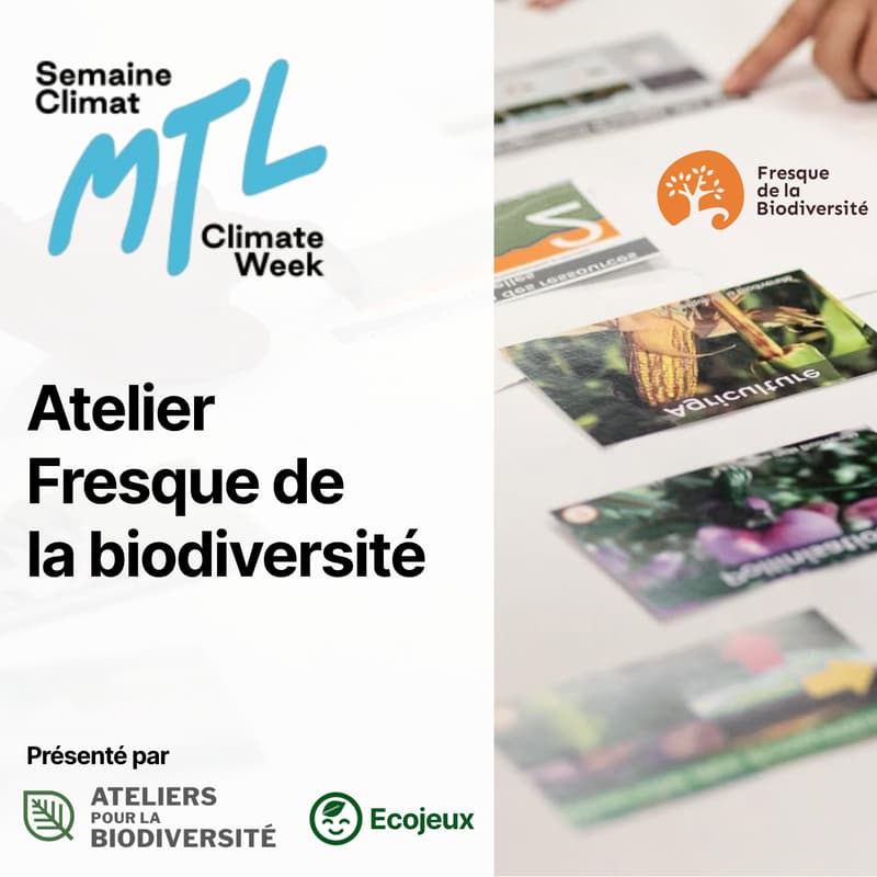 Cover Image for Atelier collaboratif « Fresque de la biodiversité » : Comprendre et agir pour la biodiversité