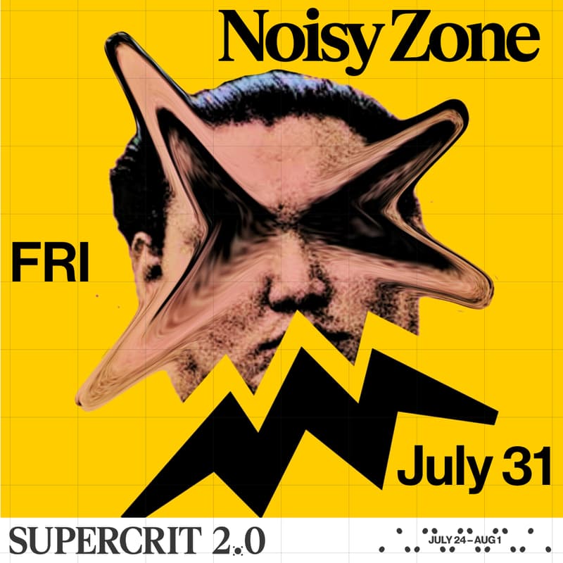 Cover Image for Noisy Zone