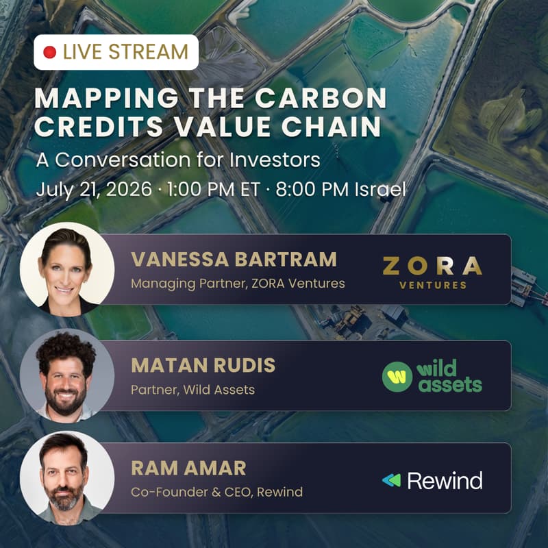 Cover Image for Mapping the Carbon Credits Value Chain