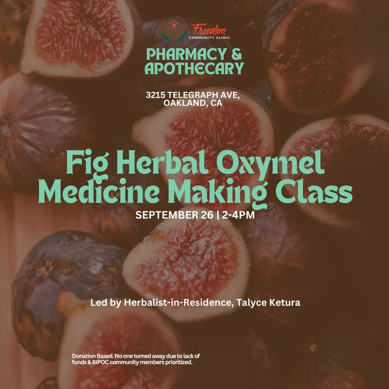 Cover Image for Fig Herbal Oxymel Medicine Making Class