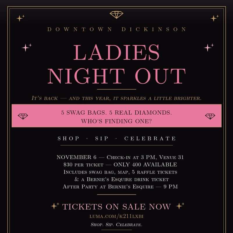 Cover Image for Downtown Dickinson Ladies Night Out