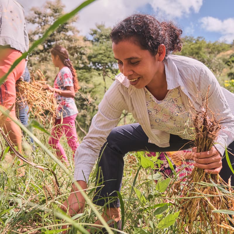 Cover Image for De Bons Matins pour le Climat : Transformer nos systèmes alimentaires du local à l'international