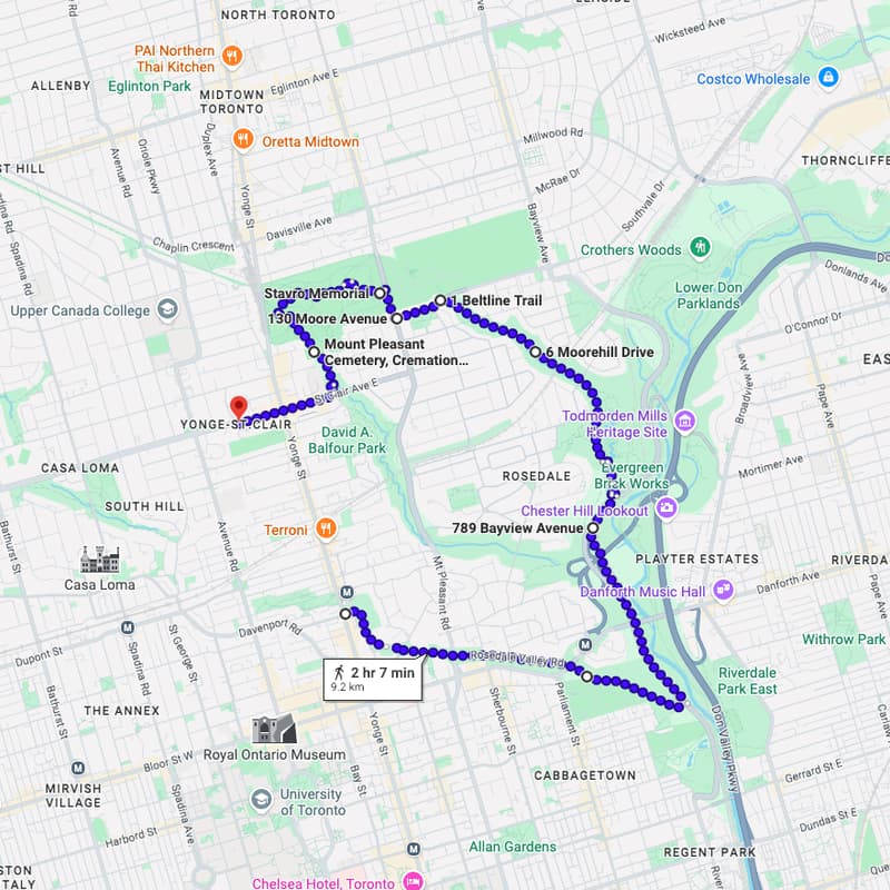 Cover Image for AI Walks YYZ - Urban Jungle