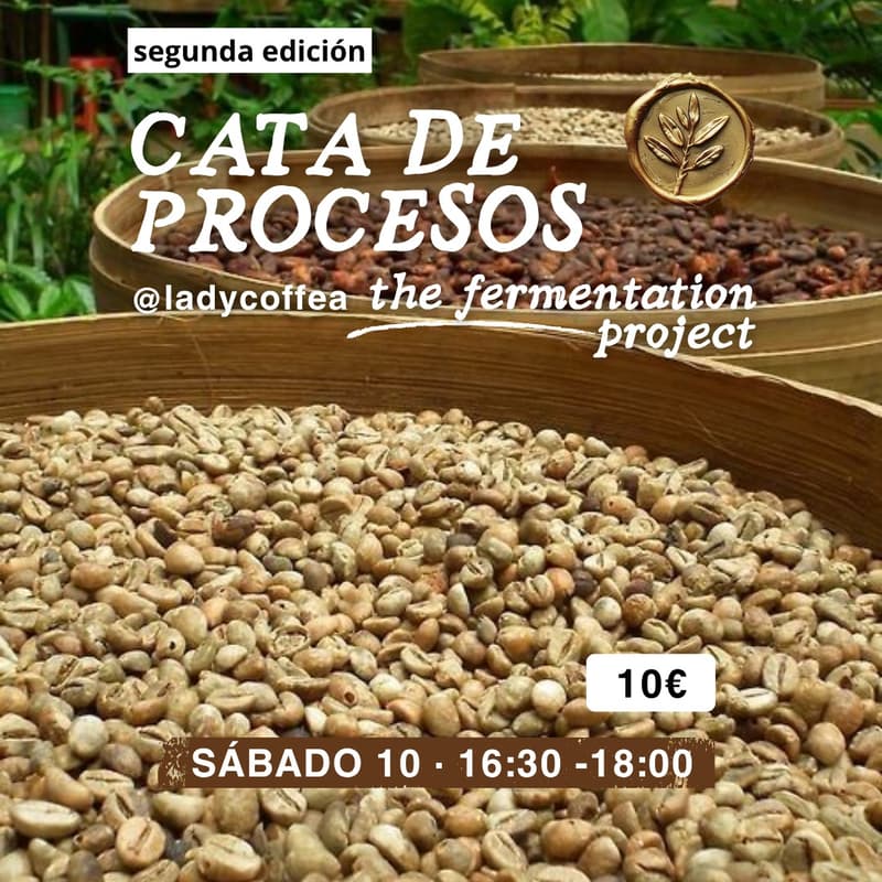 Cover Image for Cata procesos - the fermentation project