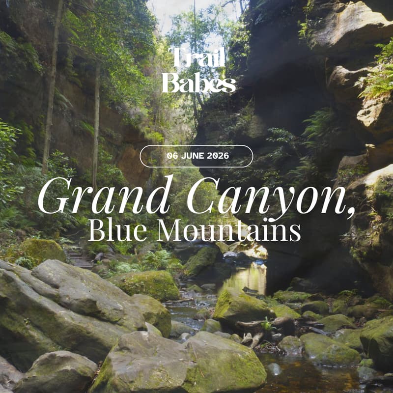 Cover Image for Grand Canyon Track, Blue Mountains