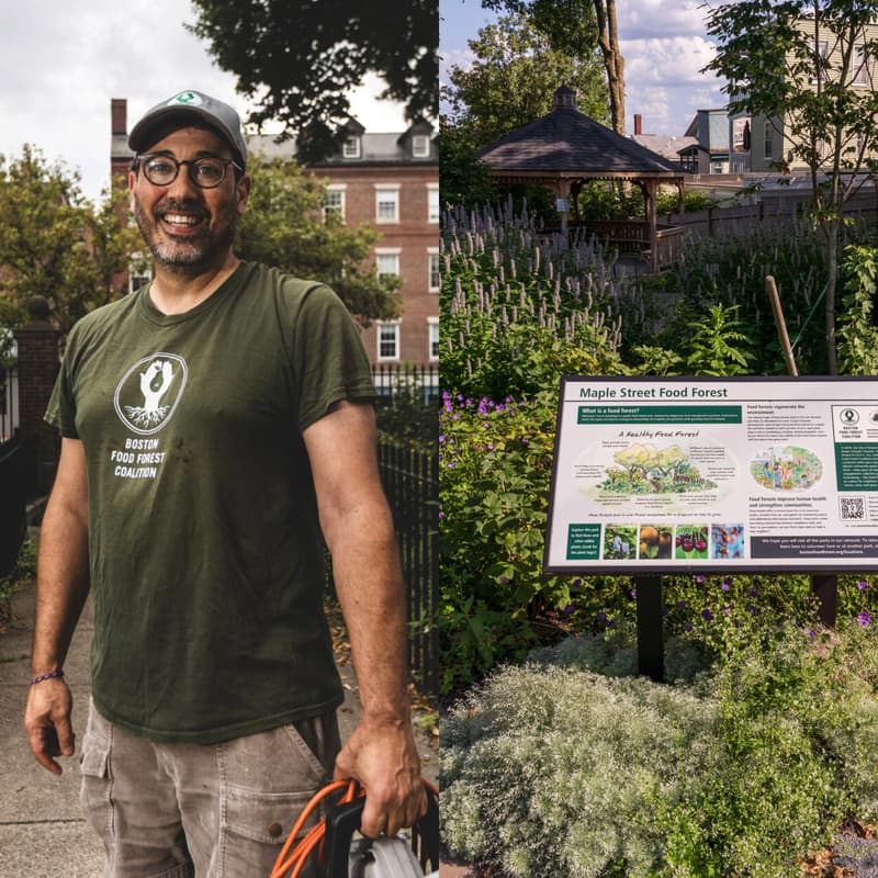 Cover Image for Join Orion in the Food Forest: transplanting and seedball making