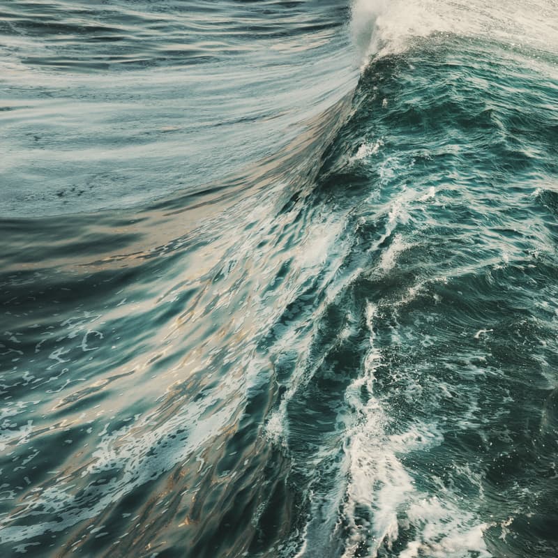 Cover Image for Cph Climate Week - Enabling Maritime Decarbonization: Turning Ambition into Action