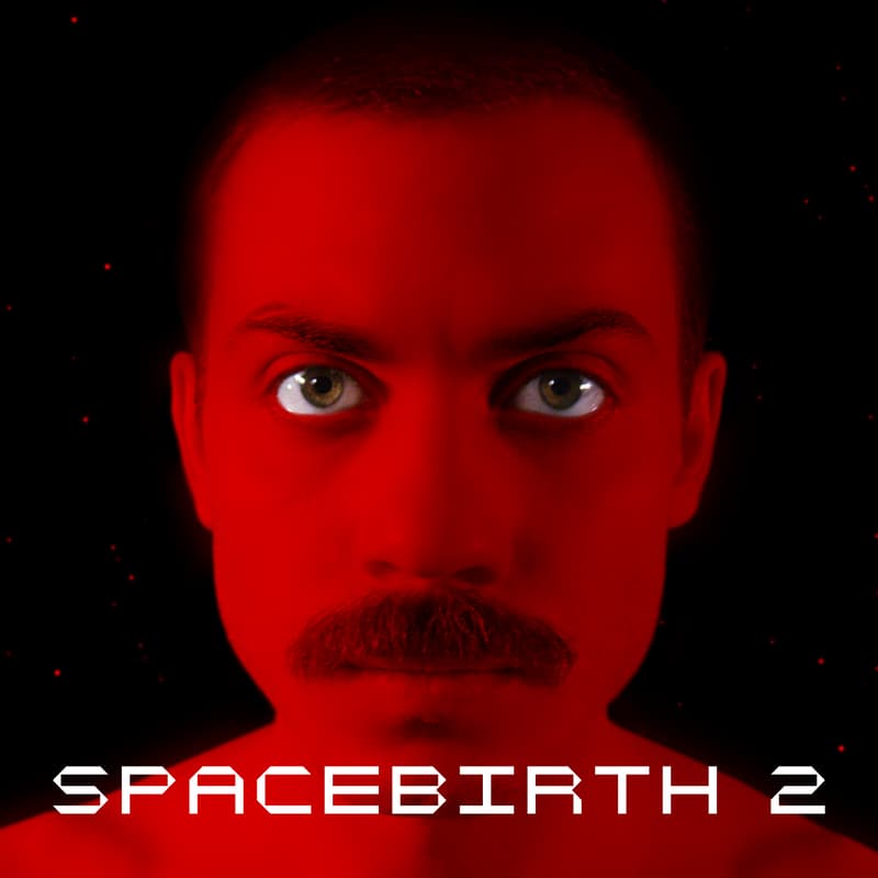 Cover Image for Spacebirth 2