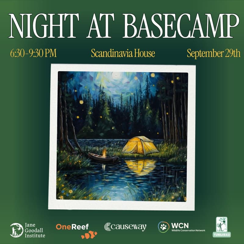 Cover Image for Night at Basecamp: An Evening of Conservation Storytelling