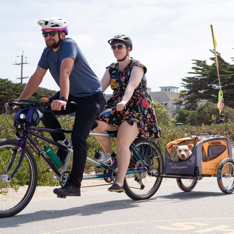 Cover Image for Volunteer: Dog on' Bike Ride (Ride Marshall)