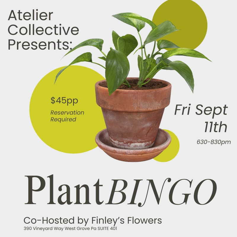 Cover Image for Plant Bingo