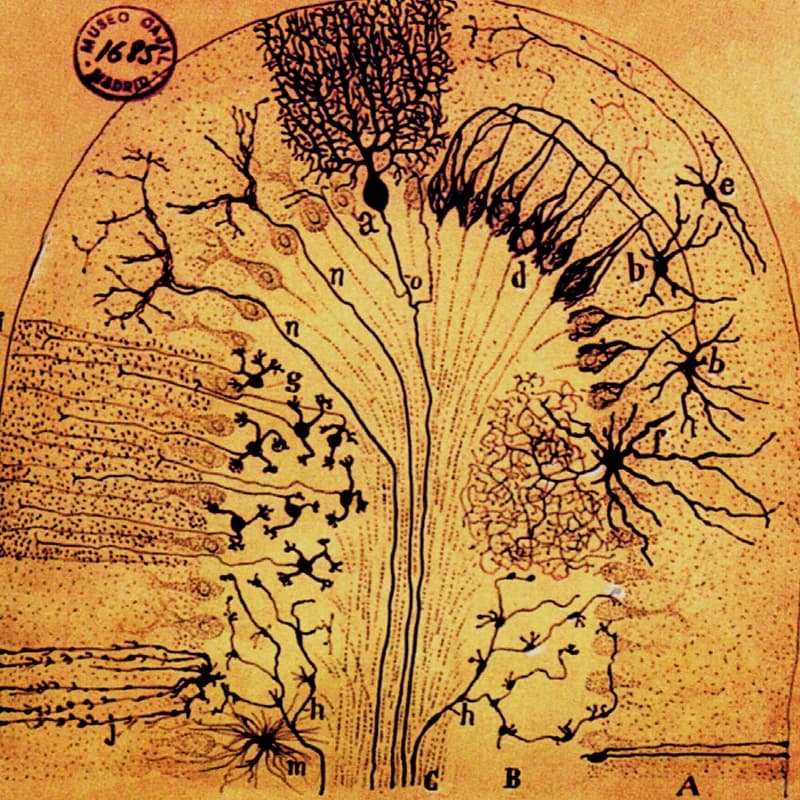 Cover Image for Cognitive Communes: Local-first agents for community living