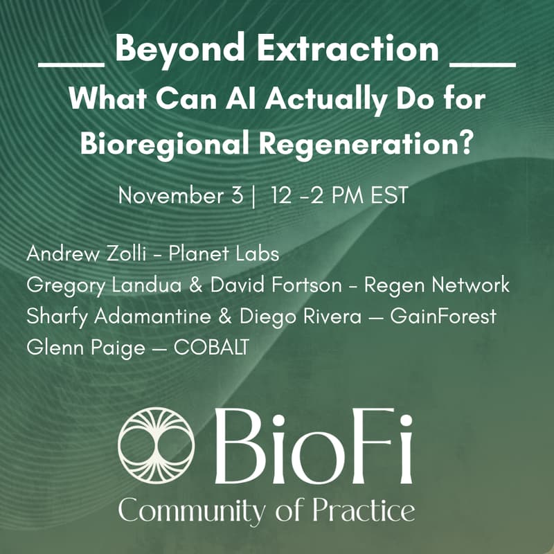Cover Image for Beyond Extraction: What Can AI Actually Do for Bioregional Regeneration?