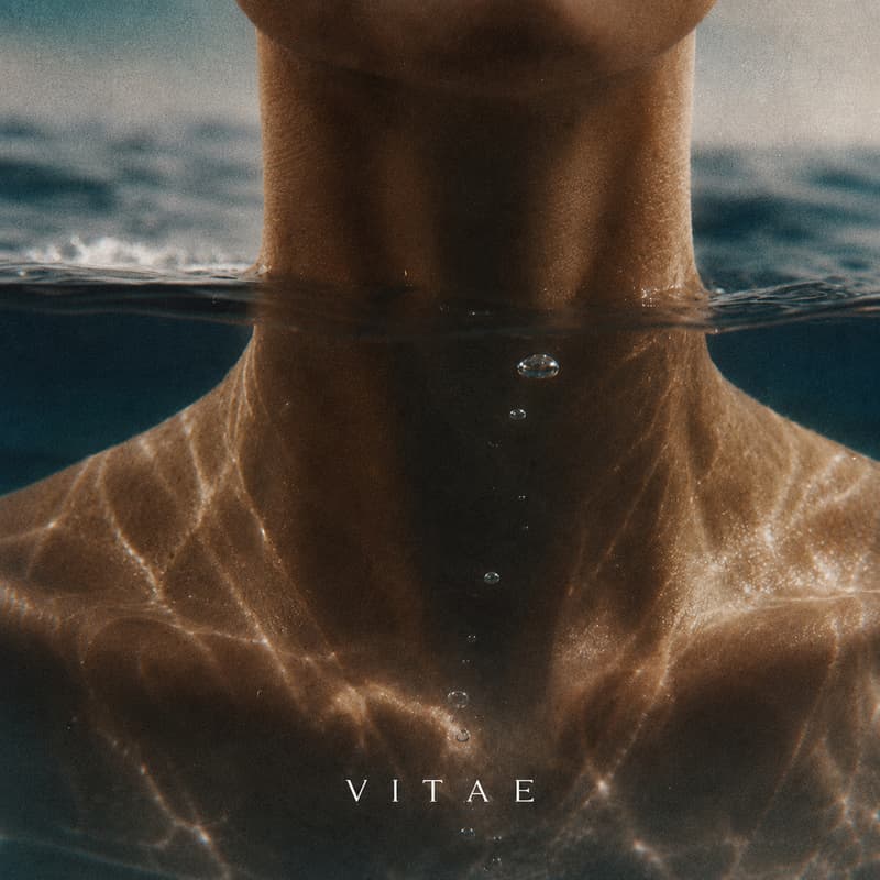 Cover Image for RESET: Deep Nervous System Recovery