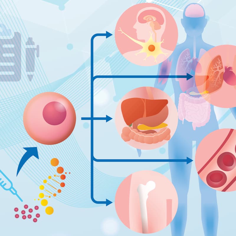 Cover Image for NIH-HESI Workshop | Emerging Cell & Gene Therapies for Disease-specific Therapeutic Applications: In Vivo Tracking and Biodistribution
