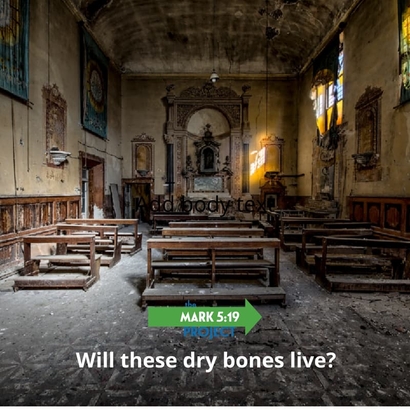Cover Image for Dry Bones Alive: What does the Re.Vitalize Trust phenomenon have to teach Catholic evangelization?