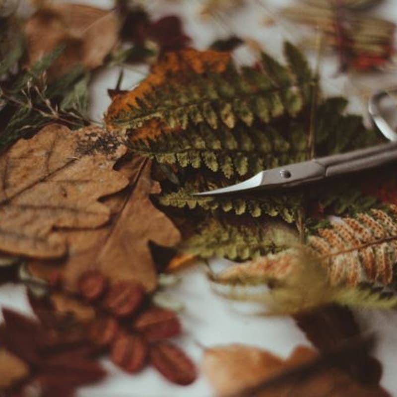 Cover Image for Creative Table – Wir gestalten herbstliche Dekoration