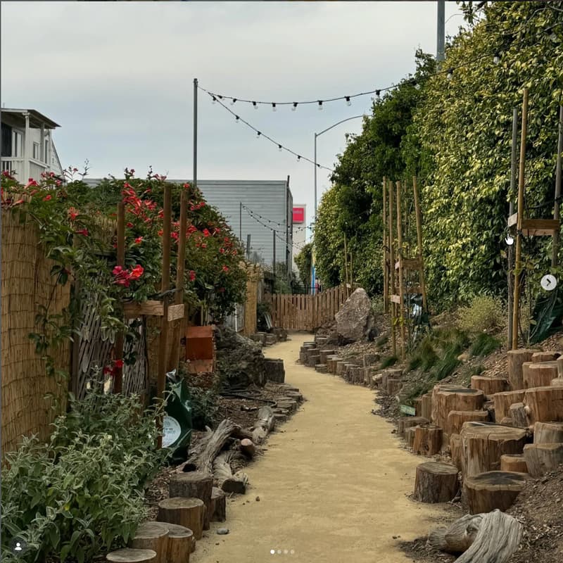 Cover Image for Green Between Garden Work Day