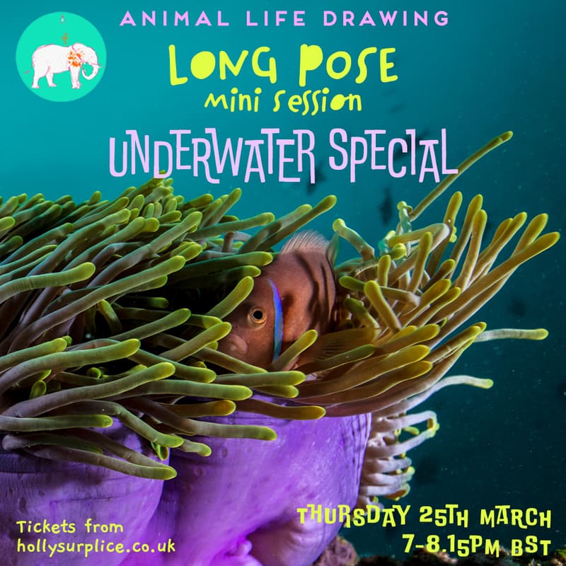 Cover Image for Long Pose Mini Session: Underwater Special