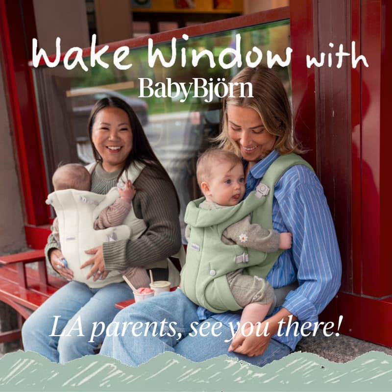 Cover Image for Wake Window with BabyBjörn