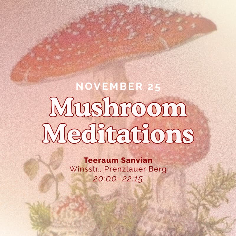 Cover Image for Mushroom Meditations: A guided journey to connect to Amanita Muscaria