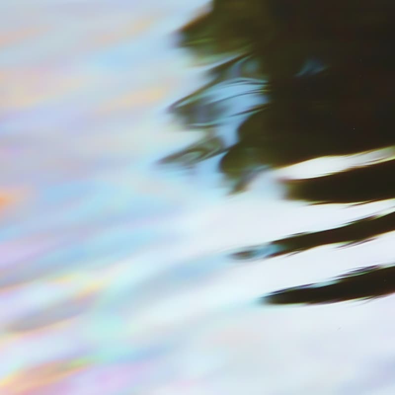 Cover Image for Reflect & Connect: Post-EAG integration session