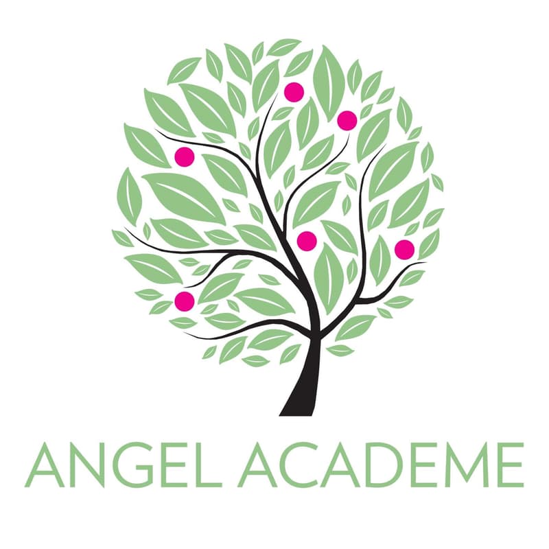 Cover Image for Angel Academe EIS Fund 2 Last Call Webinar