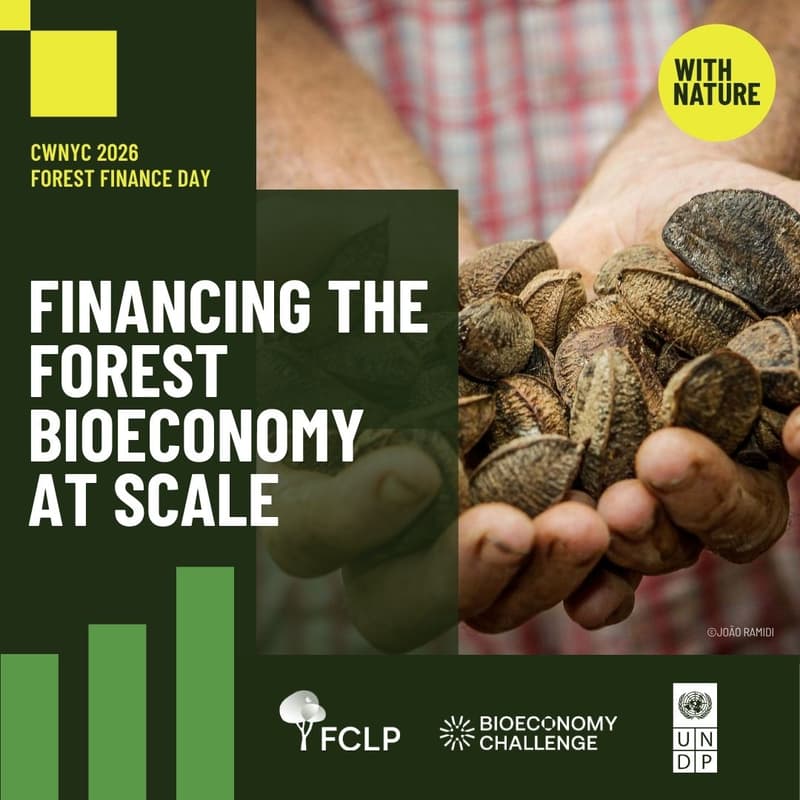 Cover Image for Financing the Forest Bioeconomy at Scale