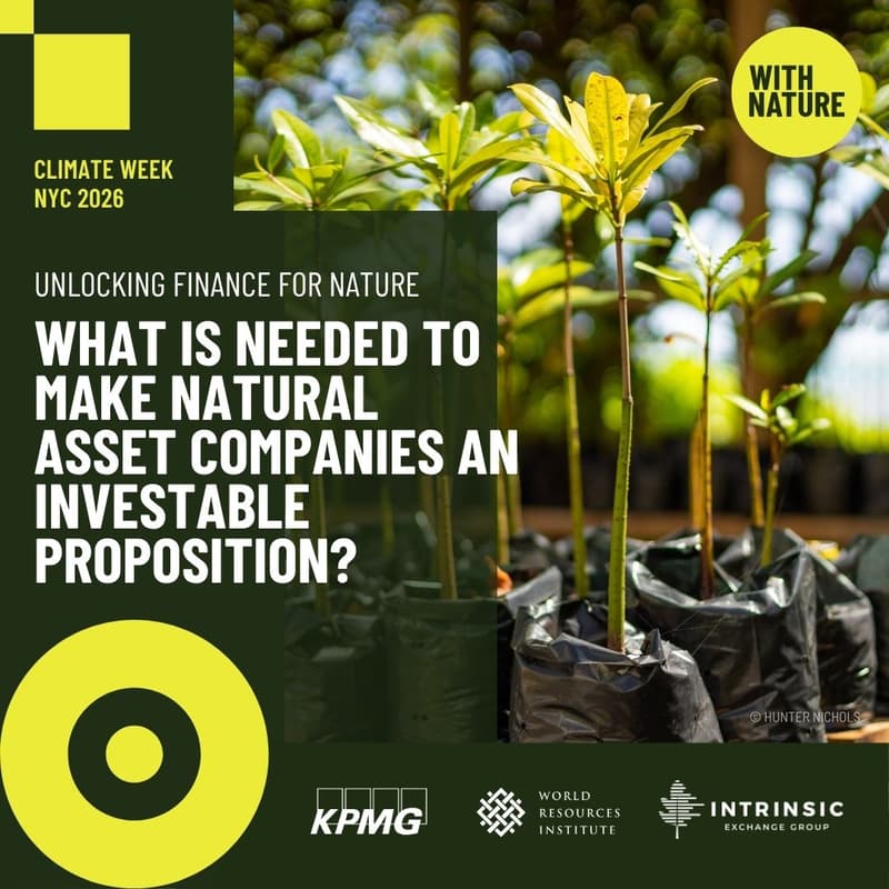 Cover Image for Unlocking Finance for Nature: What is Needed to Make Natural Asset Companies an Investable Proposition?
