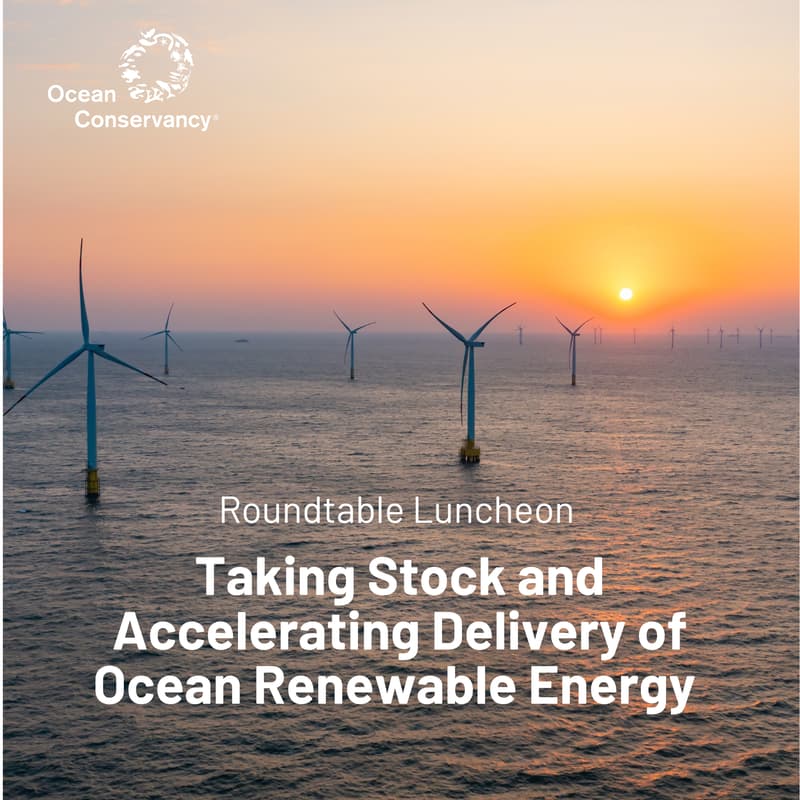 Cover Image for Roundtable: Taking Stock and Accelerating Delivery of Ocean Renewable Energy
