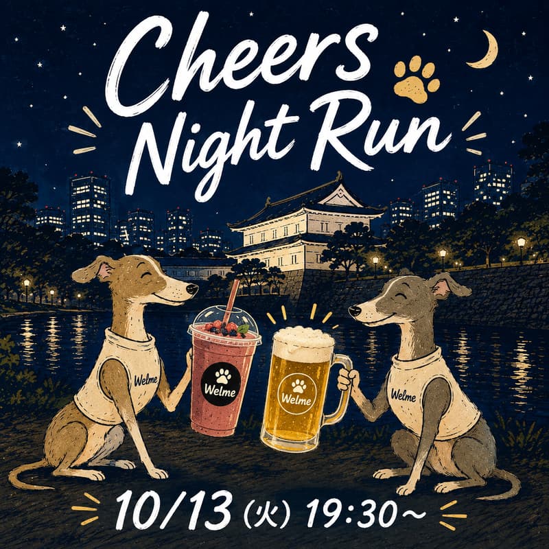 Cover Image for Cheers Night Run