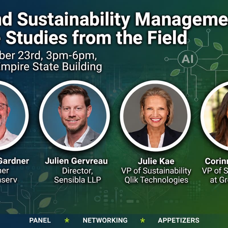 Cover Image for AI and Sustainability Management: Case Studies from the Field