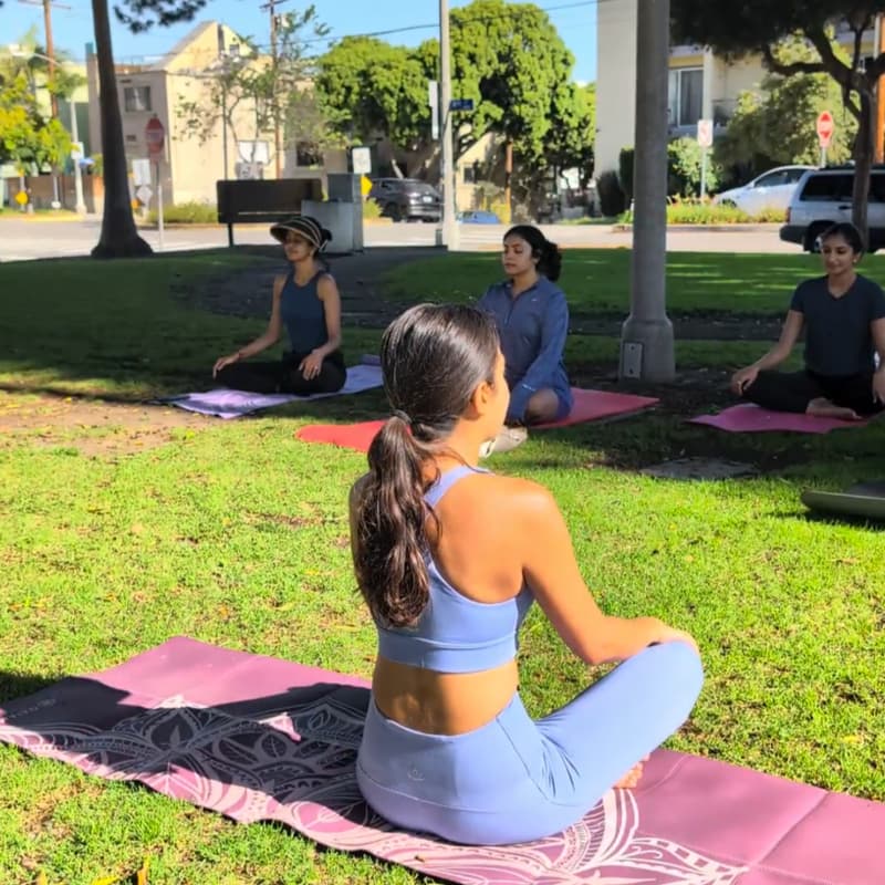 Cover Image for Prana in the Park - A Community Yoga Flow (10.0)