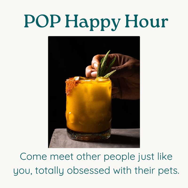 Cover Image for POP Happy Hour
