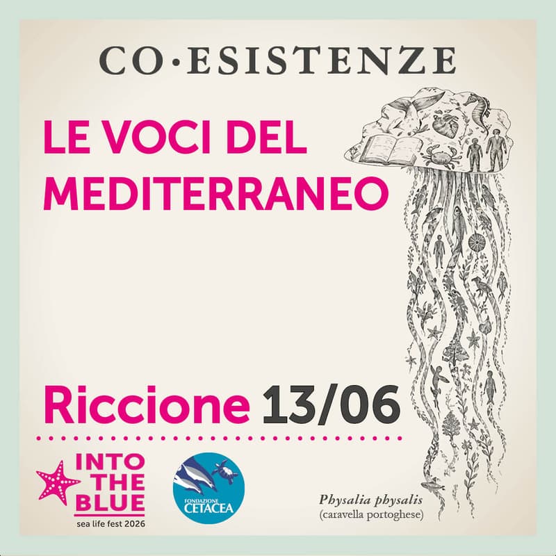 Cover Image for Le voci del Mediterraneo