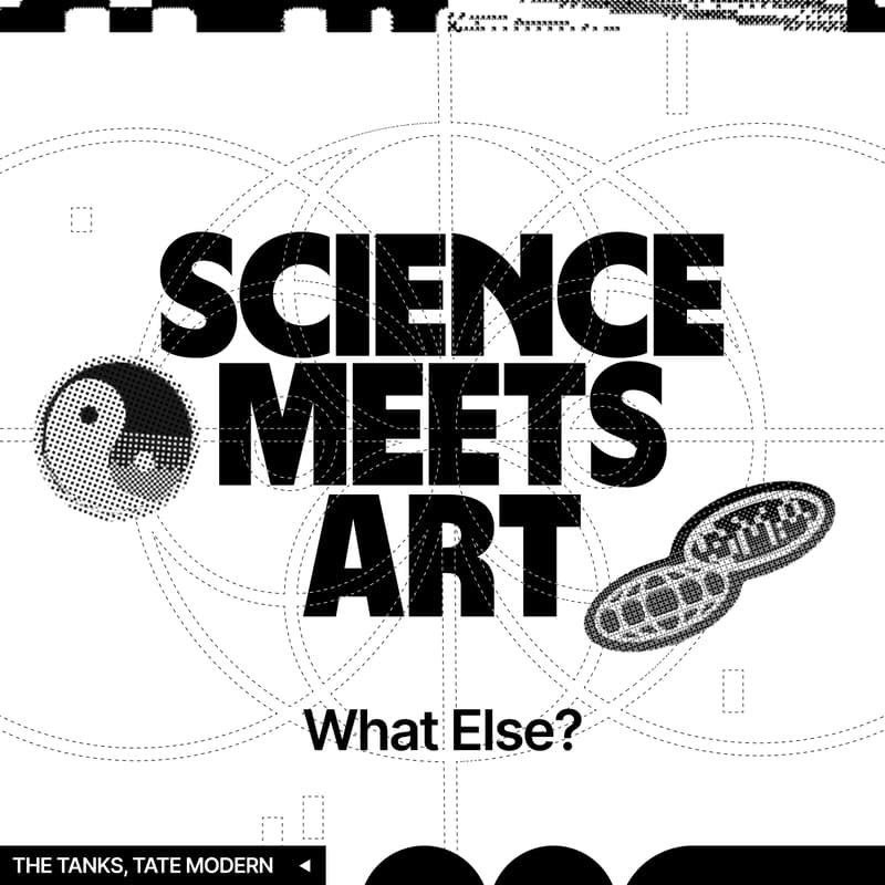 Cover Image for Science Meets Art: What Else?