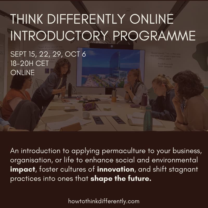Cover Image for Think Differently online introductory programme