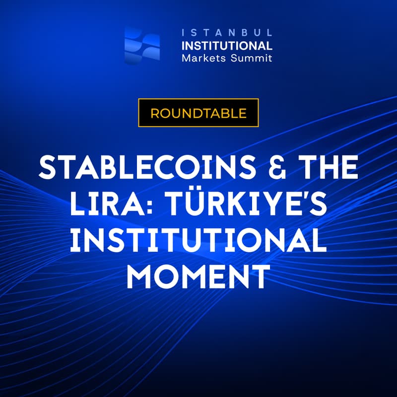 Cover Image for IIMS Roundtable: Stablecoins & the Lira: Türkiye's Institutional Moment