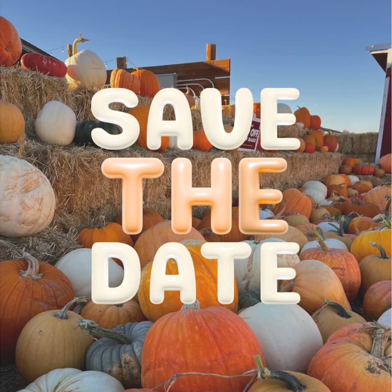 Cover Image for Autumn at Snyder's ๐