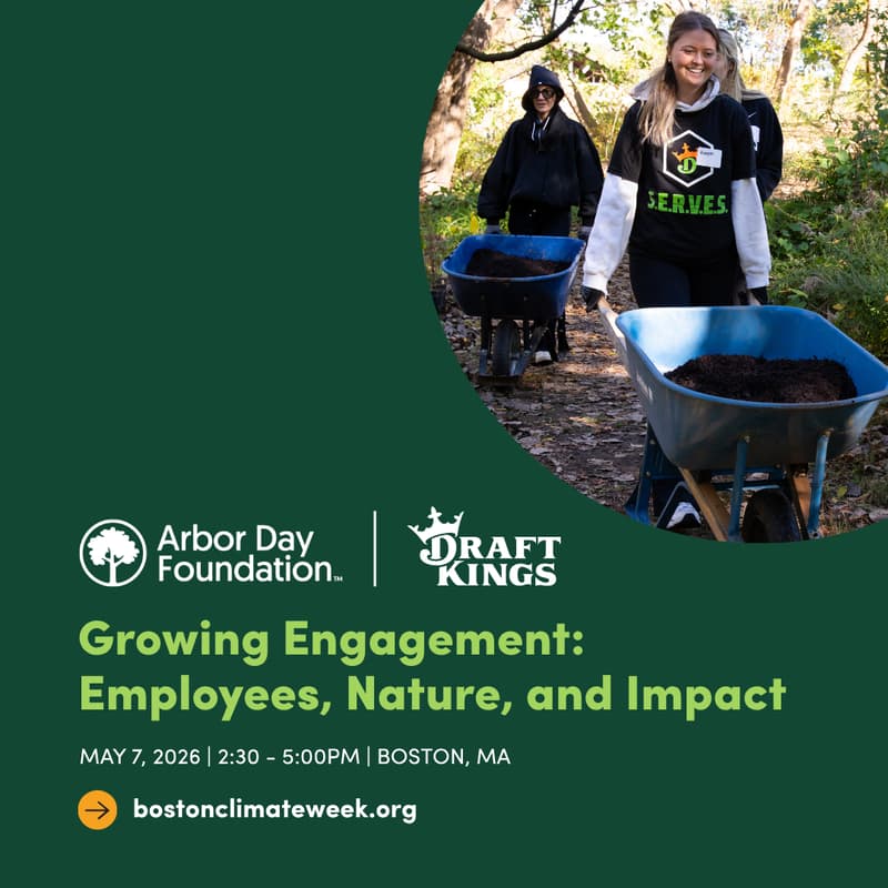 Cover Image for Growing Engagement: Employees, Nature, & Impact